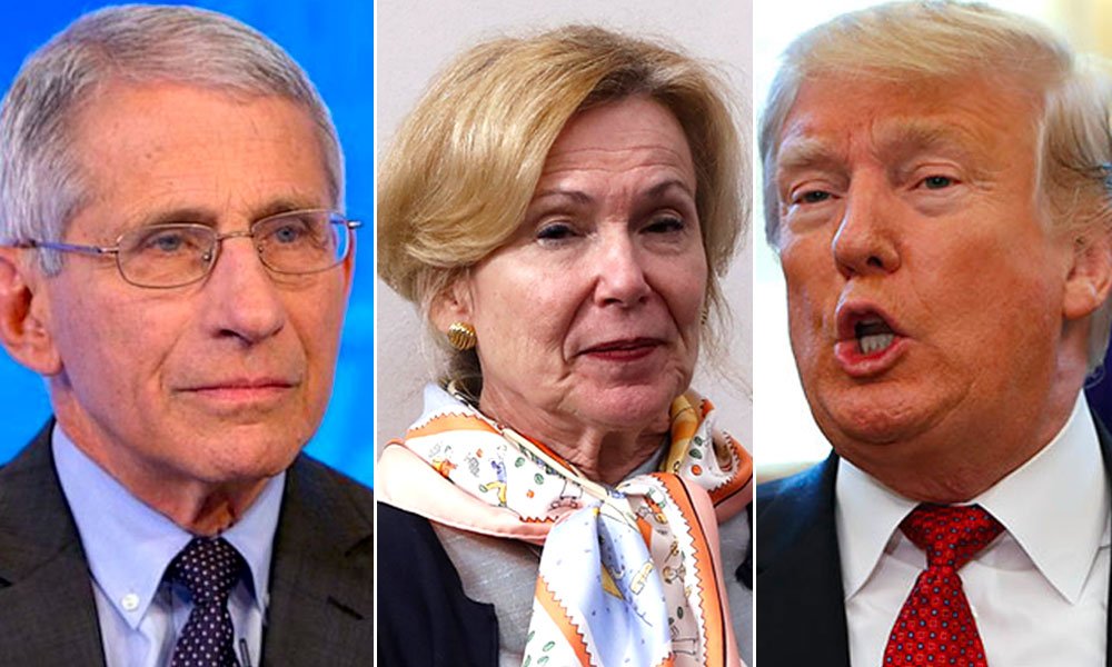 Donald rump attacks fauci, birx