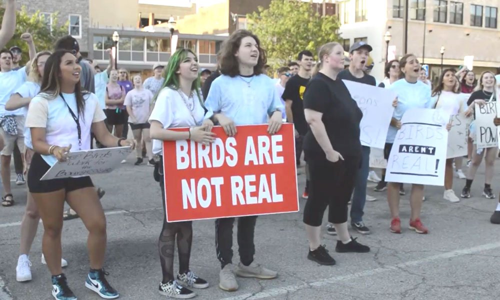 Birds are not real