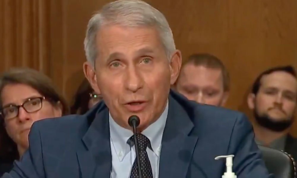 Anthony Fauci vs Rand Paul