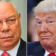 Donald Trump attacks Colin Powell