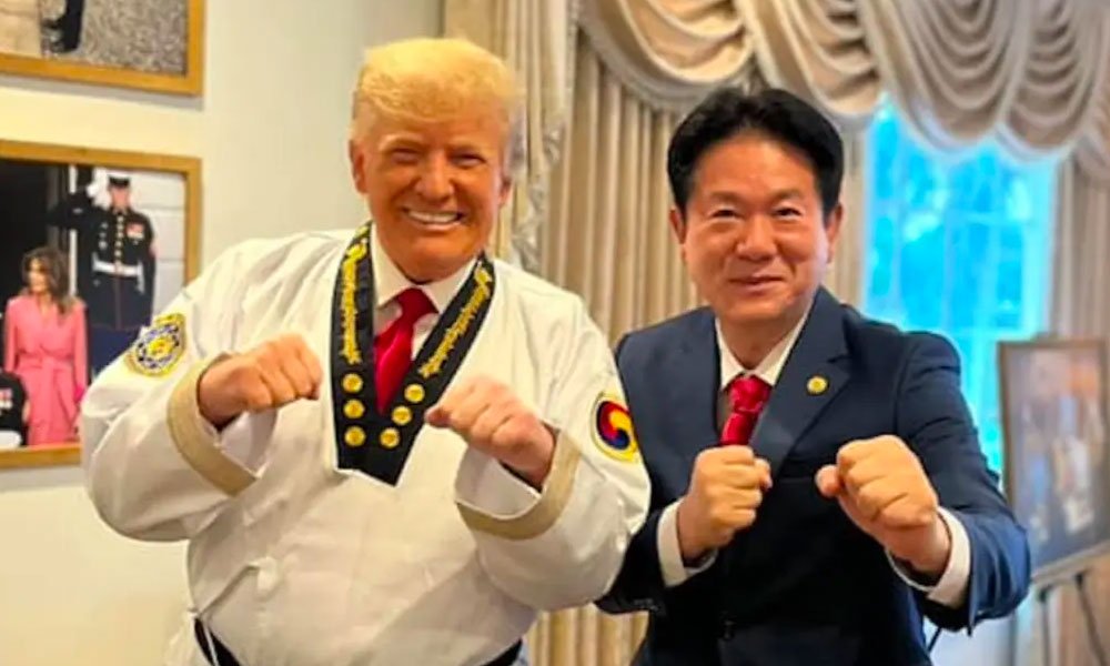 Donald Trump martial arts