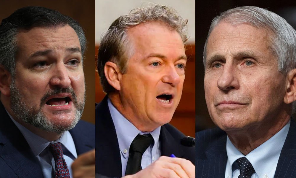 Ted Cruz, Rand Paul and Anthony Fauci