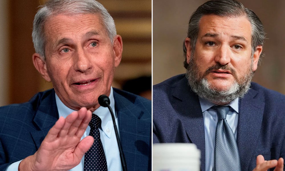 Anthony Fauci responds to Ted Cruz