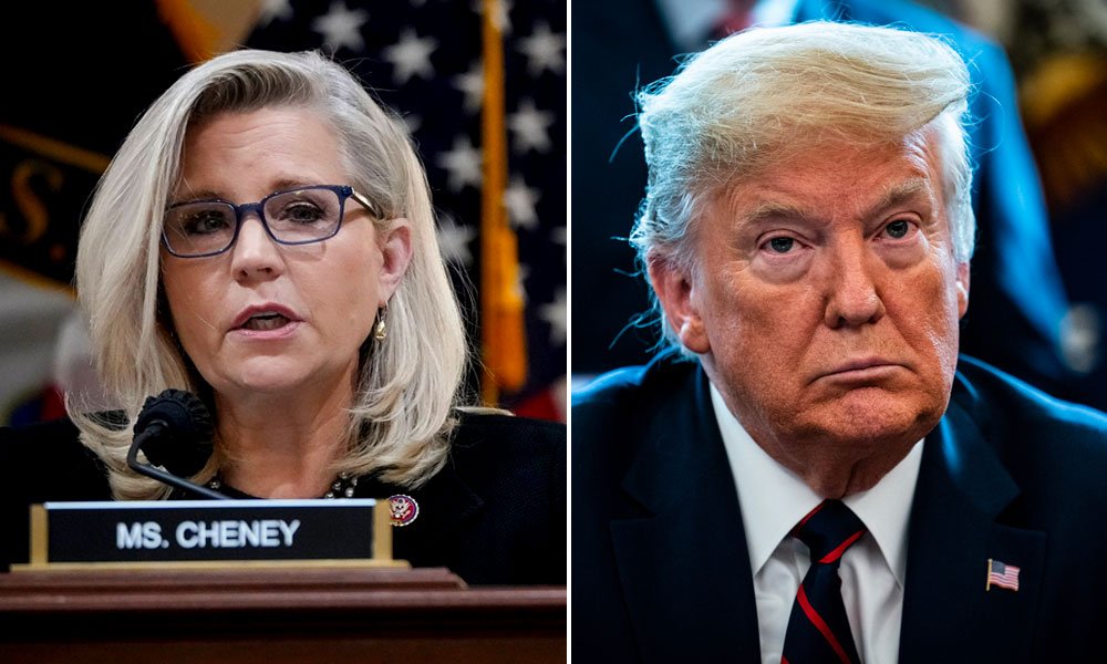 Liz Cheney and Donald Trump