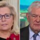 Liz Cheney slams Newt Gingrich