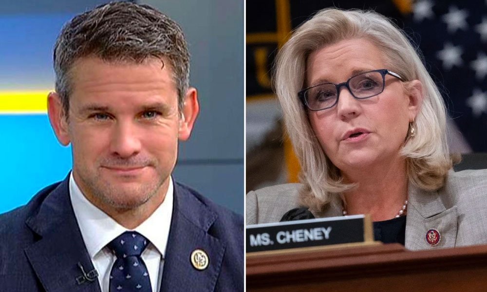 Adam Kinzinger and Liz Cheney