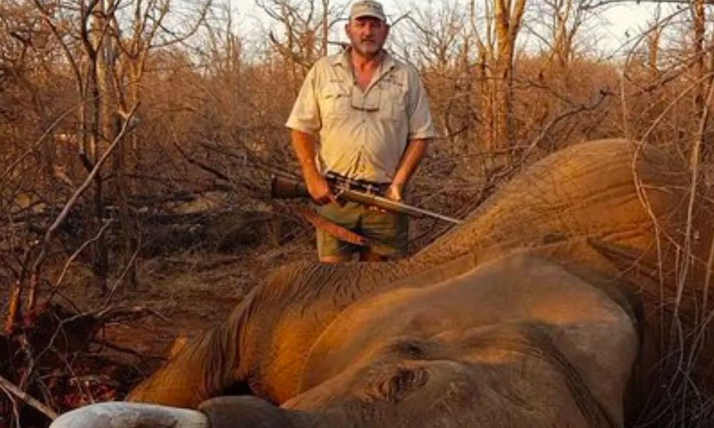 Riaan Naude posing with Elephant he shot.