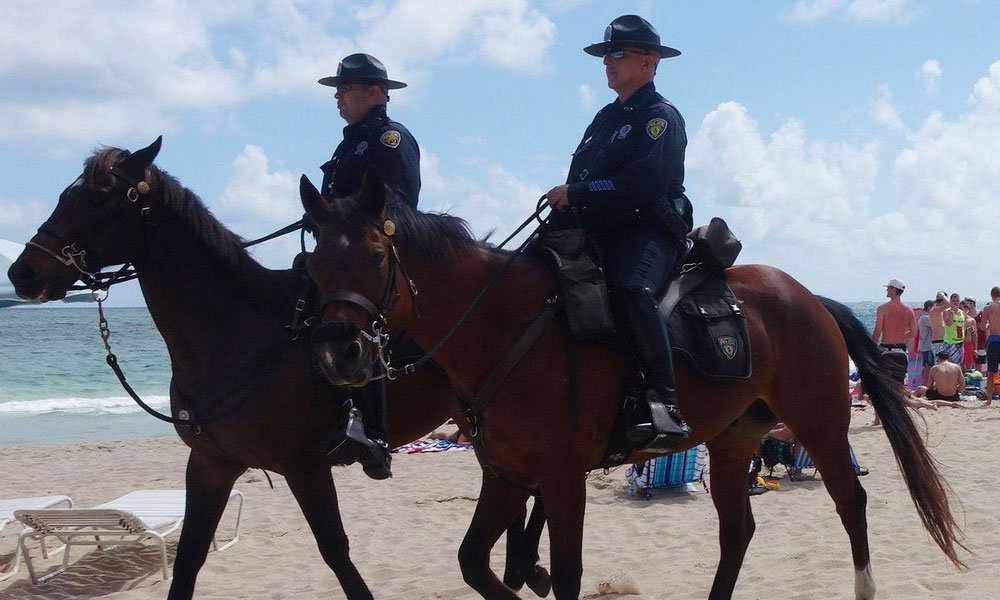 Florida mounted police