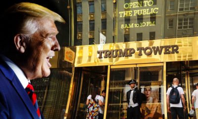Trump organization