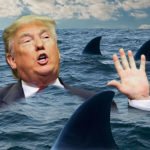 Trump sharks