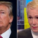 Donald Trump vs E. Jane Carroll