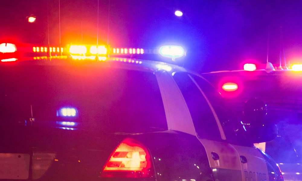 Colorado DUI dog