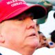 Donald Trump bond