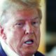 Donald Trump surrenders