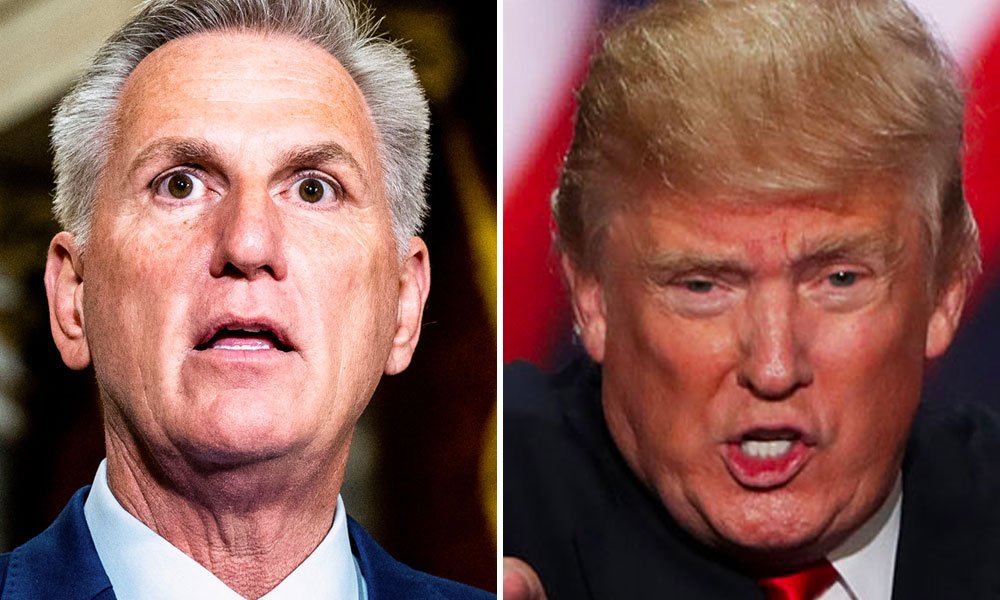 Kevin MccArthy and Donald Trump