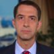 Republican Sen. Tom Cotton, of Arkansas smalled over slavery comments.