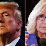 Ex-Congresswoman Liz Cheney (R) and ex-President Donald Trump have been embroiled in a public dispute concerning the Capitol attack on January 6, 2021.