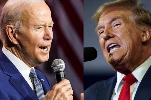 Joe Biden leads Donald Trump