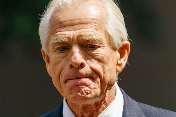 Peter Navarro to prison