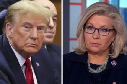 iz Cheney slams former President Donald Trump for what she calls his "reckless and despicable" attacks on a judge's daughter,