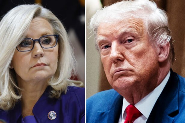 Donald Trump attacks Liz Cheney