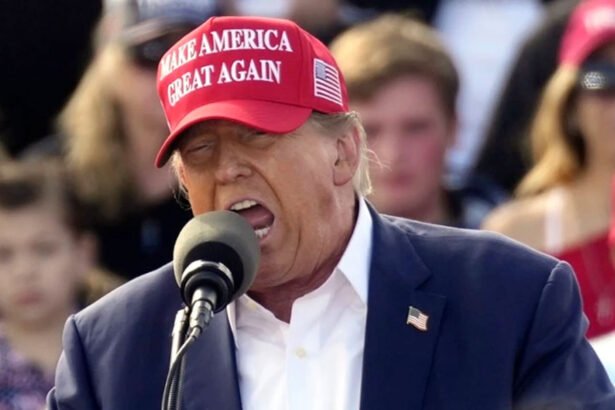 DOnald Trump Ohio Rally