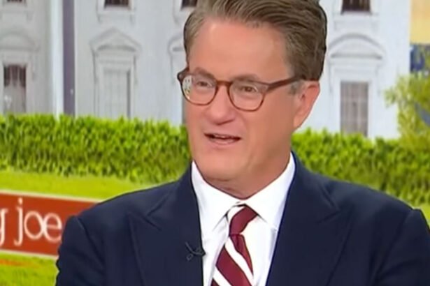 MSNBC host Joe Scarborough. (Screenshot)