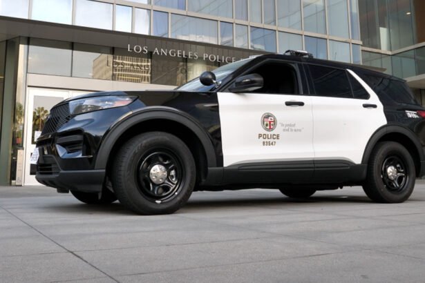 Thieves Conduct Most Audacious Heist in Los Angeles History