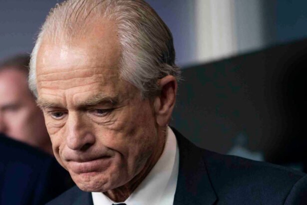 Former Trump’s trade adviser Peter Navarro.