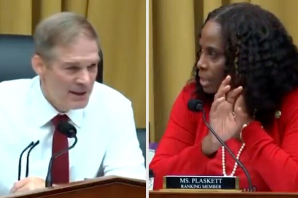 Del. Stacey Plaskett (D-VI) confronted House Judiciary Chairman Jim Jordan (R-OH)