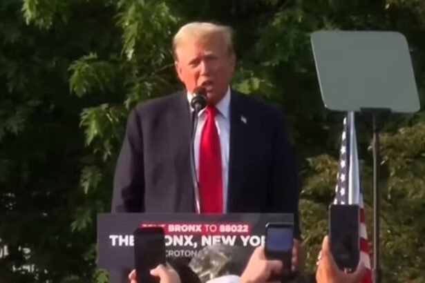 Trump Claims at Rally That Border Wall Was Nearly Complete Before Biden Took It Down And Sold It