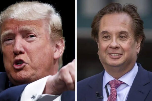 Donald Trump and George Conway.