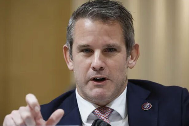 Adam Kinzinger Endorses Biden, Trashes 'Whiny Weak' Trump In Brutal Takedown