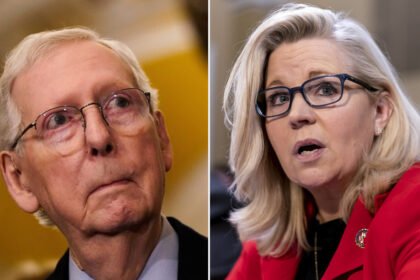 'History Will Remember Your Shame': Liz Cheney Slams Mitch McConnell For Meeting With Trump
