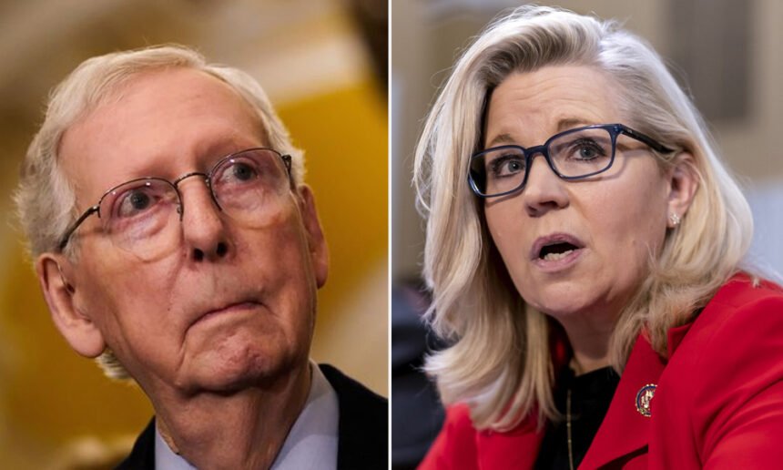 'History Will Remember Your Shame': Liz Cheney Slams Mitch McConnell For Meeting With Trump