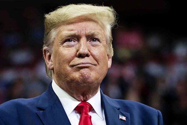 Trump Reveals VP Finalists in 'Highly Sophisticated Version of The Apprentice'