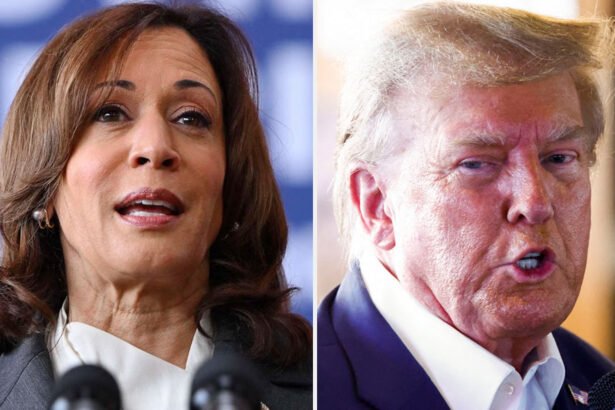 Political Jiu-Jitsu: Kamala Harris is Crushing Trump With His Own Tactics