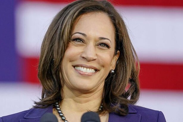 Republicans Don’t Know How to Campaign Against Harris