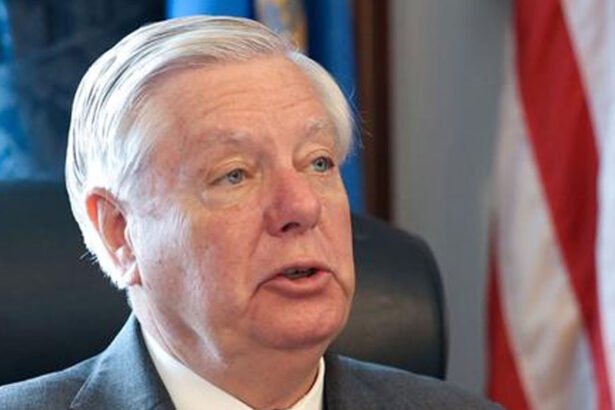 'Stain on South Carolina': Lindsay Graham Shredded Over Hypocritical Biden Remarks