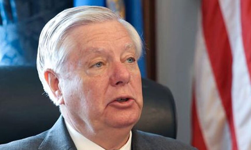 'Stain on South Carolina': Lindsay Graham Shredded Over Hypocritical Biden Remarks