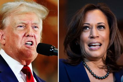 Donald Trump's Vicious Attack on Kamala Harris Boomerangs With Brutal Force