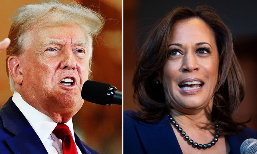 Donald Trump's Vicious Attack on Kamala Harris Boomerangs With Brutal Force