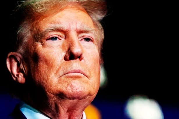 Democrats, Stop Apologizing For The Trump Shooting: It Was One of Their Own.
