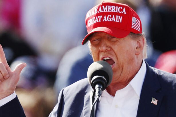 Trump Grumbles About Kamala Harris's Star-Studded Rally