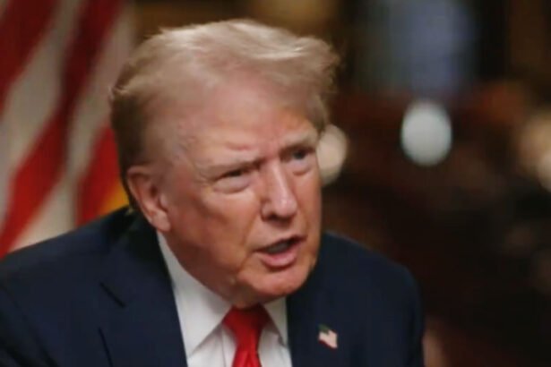 People Disgusted Over Trump's Latest Misogynistic Attack On Harris, Calling Her 'Play Toy' Due to 'How She Looks'