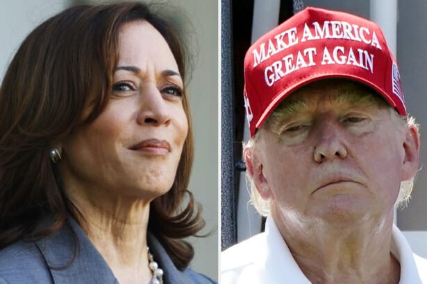 Harris, 20 Years Younger Than Trump, Leaves Republicans Scrambling To Escape Their Own 'Too Old to Be President' Trap