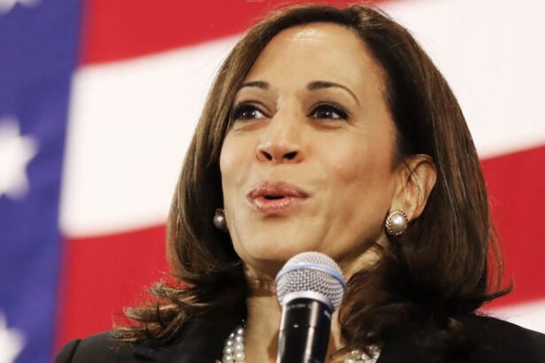 Harris Surges to an 8-Point Lead Over Trump in Maine: New Poll