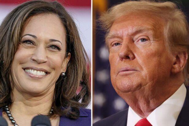 Cook Political Report Shifts Georgia, Arizona, And Nevada Toward Harris