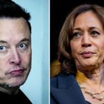 Elon Musk, Who Demands Equal Treatment From Advertisers, Calls Harris a Communist