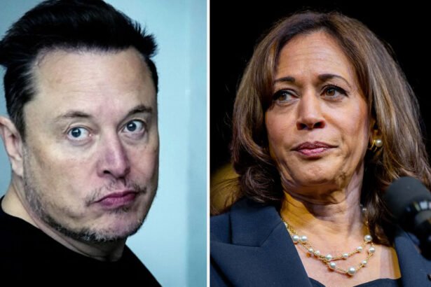 Elon Musk, Who Demands Equal Treatment From Advertisers, Calls Harris a Communist